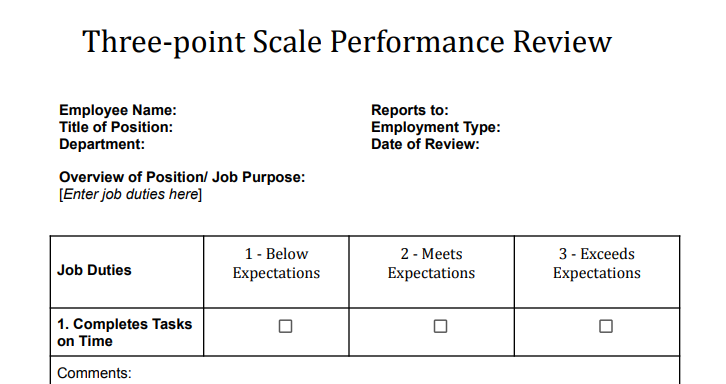 Three-point Scale Performance Review Template.