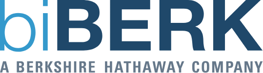 biBERK Insurance logo