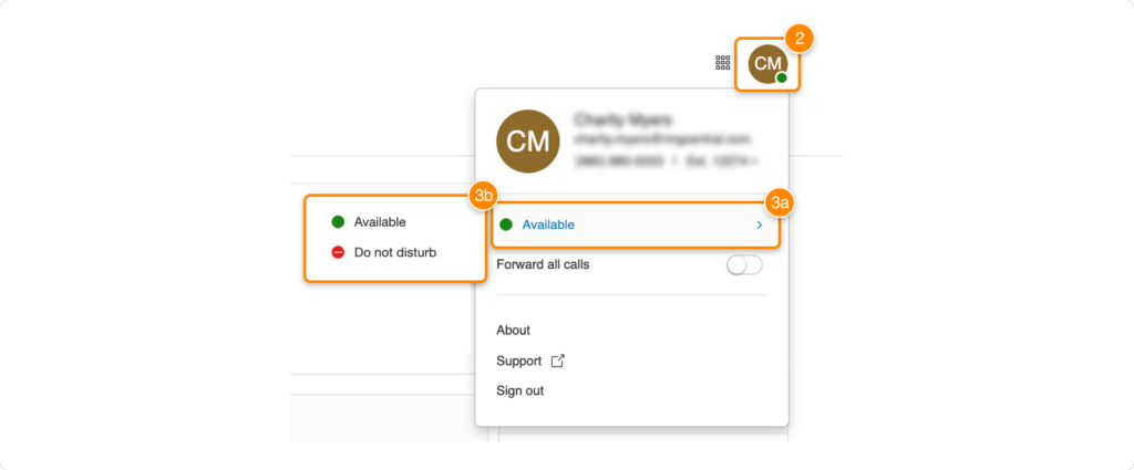 RingCentral interface showing the user profile settings with boxes highlighting the presence status "Available" and "Do not Disturb"