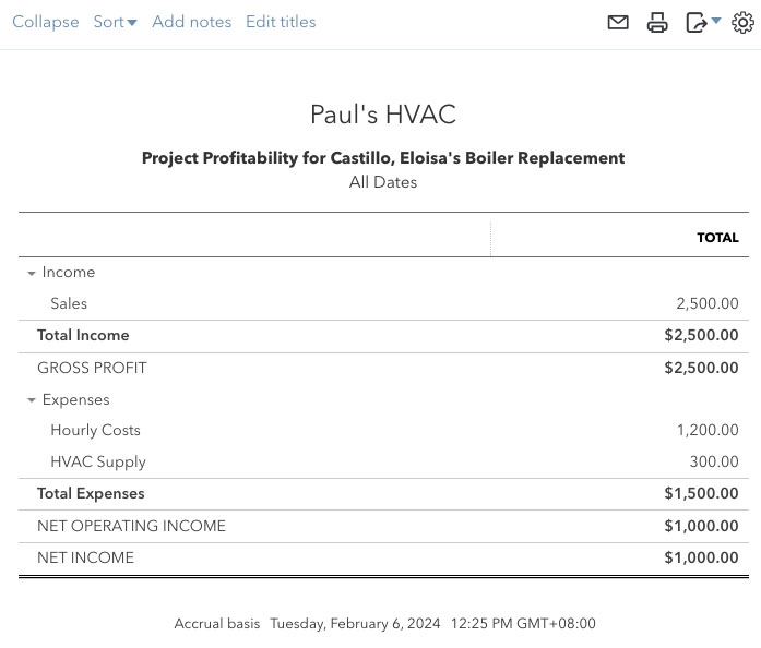Detailed project report including your total income and expenses and net income.