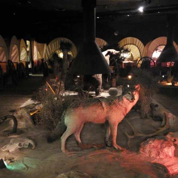 Interiro of the Prairie Scooner in Ogden, UT, showing wildlife diorama and stagecoach dining booths.