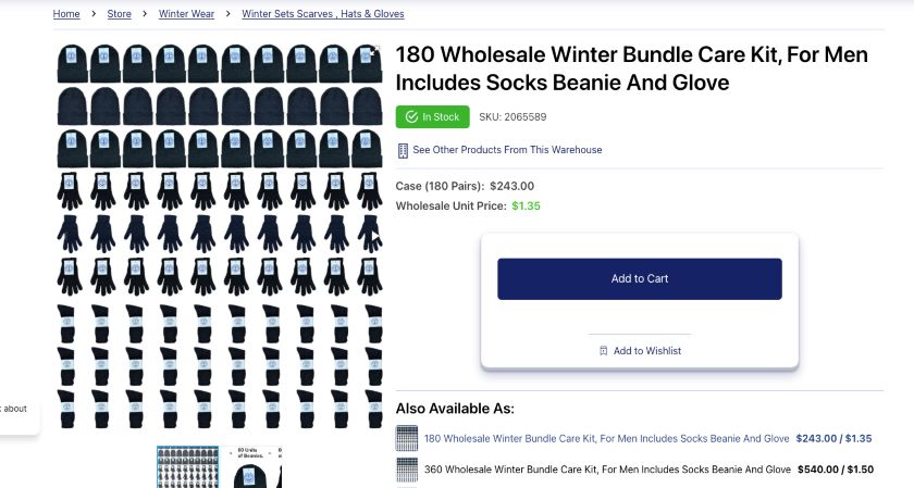 Product page for wholesaler selling set of 180 winter care items, including hats, gloves, and socks