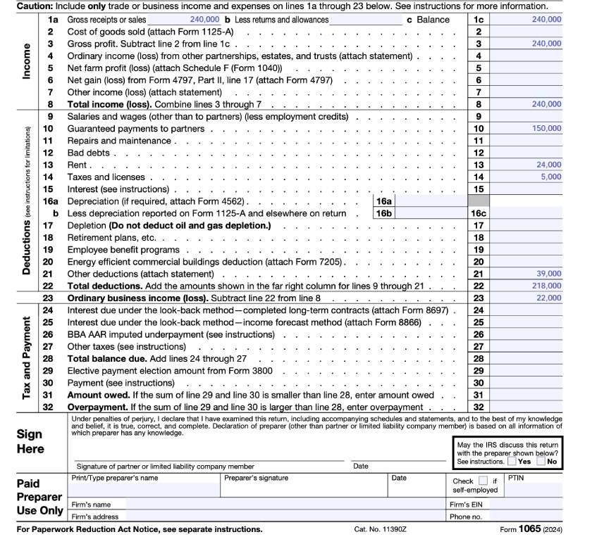 Form 1065 Business Income & Expenses