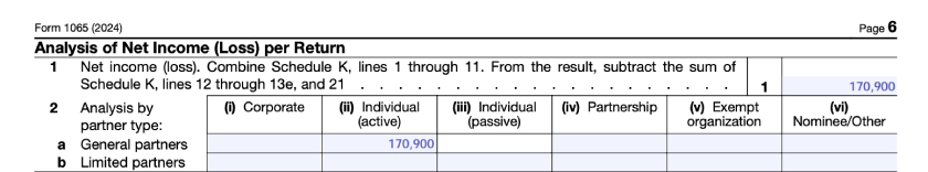 Form 1065, Page 6, Analysis of Net Income.