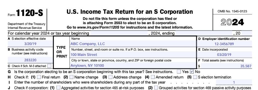 IRS Form 1120S general information.