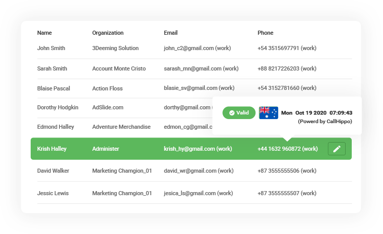 A list of contacts with columns for organization names, emails, and phone numbers through the CallHippo Global Connect feature.