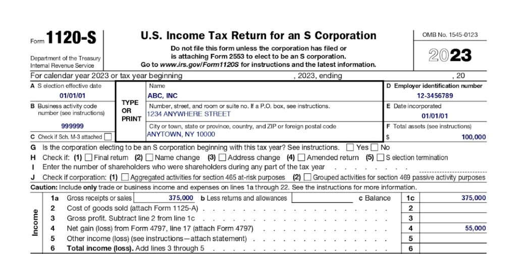 An example of Form 1125-E input from Form 1120-S Lines 1–5.
