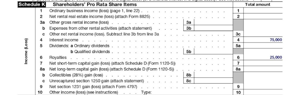 Sample Form 1125-E input from Schedule K, Lines 3a–10.