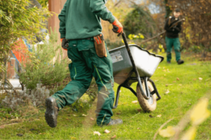 Landscaper pushing a wheelbarrow in a garden