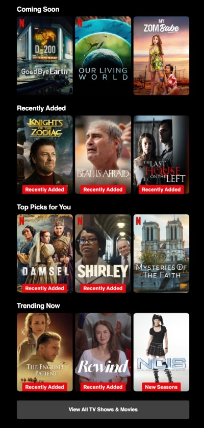 Email campaign from Netflix showcasing its product catalog.