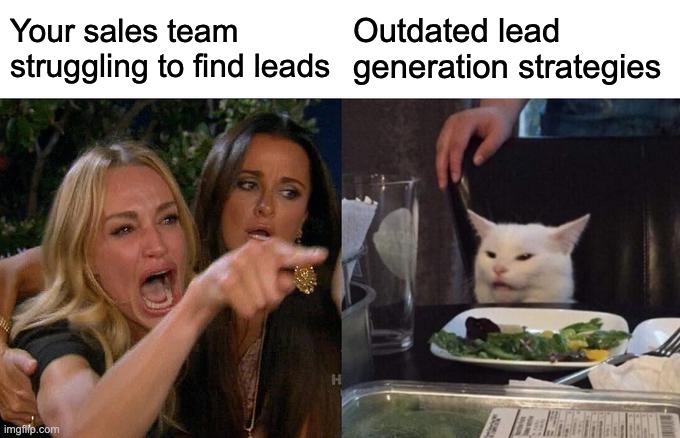  A meme of a woman yelling at a cat relating to outdated lead generation strategies.