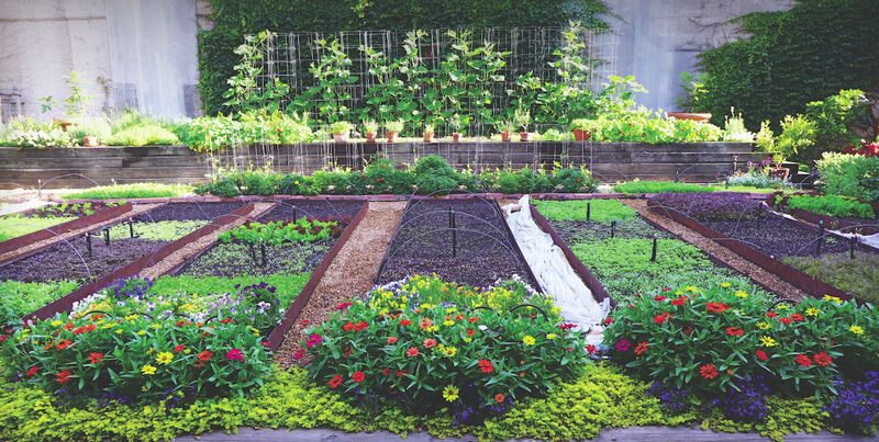 Bayless Gardens on Xoco rooftop.