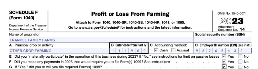 Sample Input for Schedule F Identifying Information.