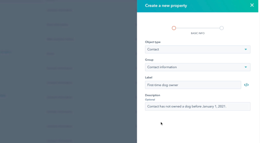 HuSpot CRM's create a new property panel to enter property details.
