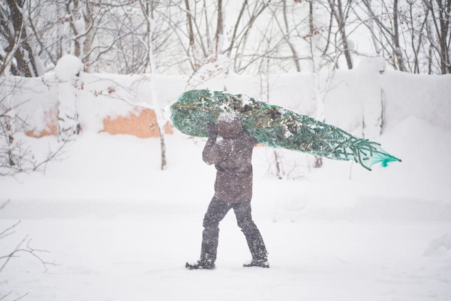 A man brought a Christmas tree into his yard during a snowstorm.