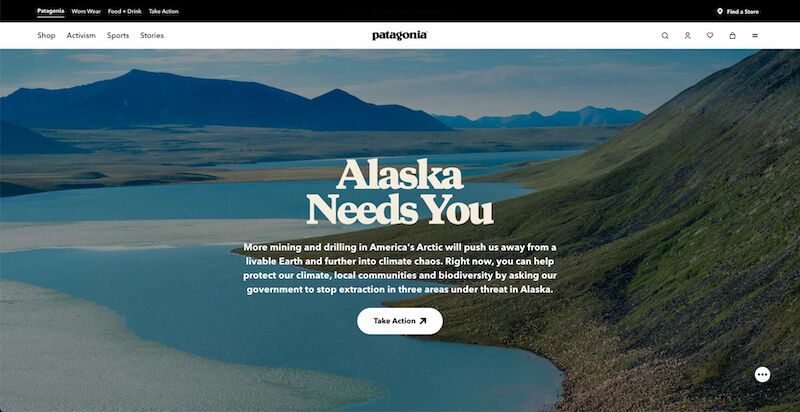 Patagonia's Homepage Screenshot