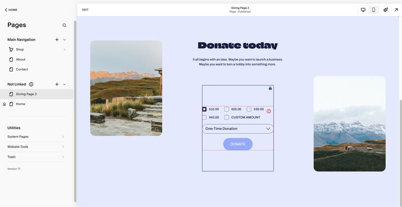 A sample donation page in a Squarespace website.