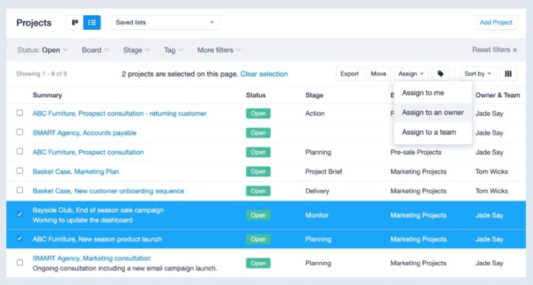 Capsule CRM project management dashboard showing summary status and stage details with an option to assign to the user another owner or a team.
