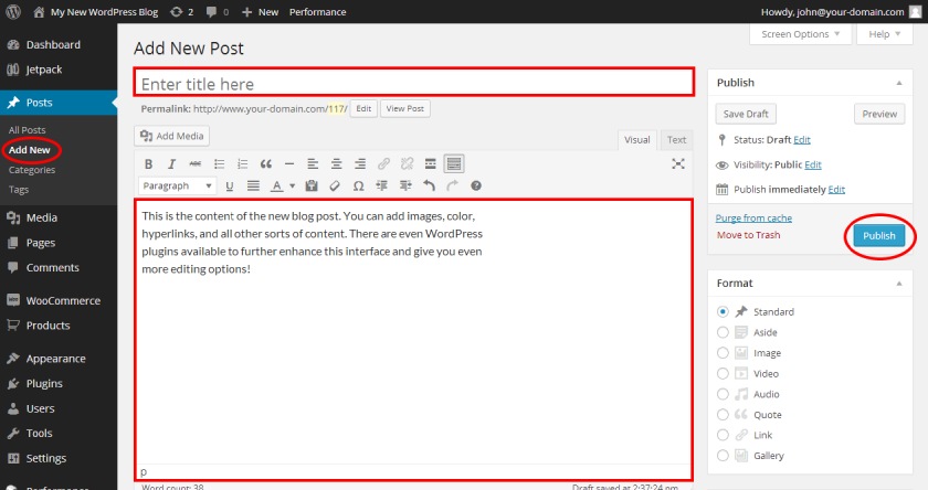 WordPress blog entry interface showing text and image entry areas for a new post.