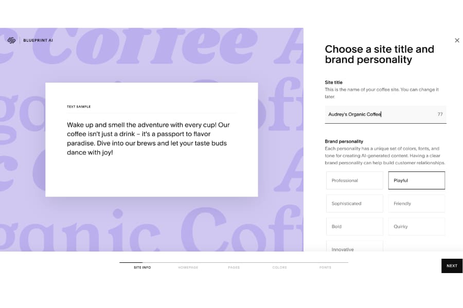 Squarespace's setup prompts to choose your website's title and overall tone.