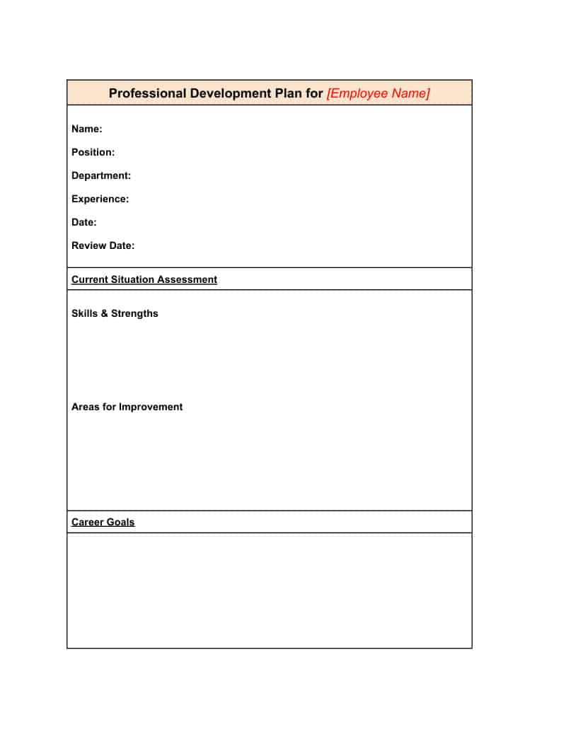 Professional Development Plan Template Screenshot.