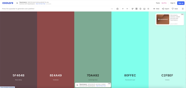 Coolors Palette Generator here showing a randomly generated five color palette with brown, brick red, mid green gray, aqua and light aqua.
