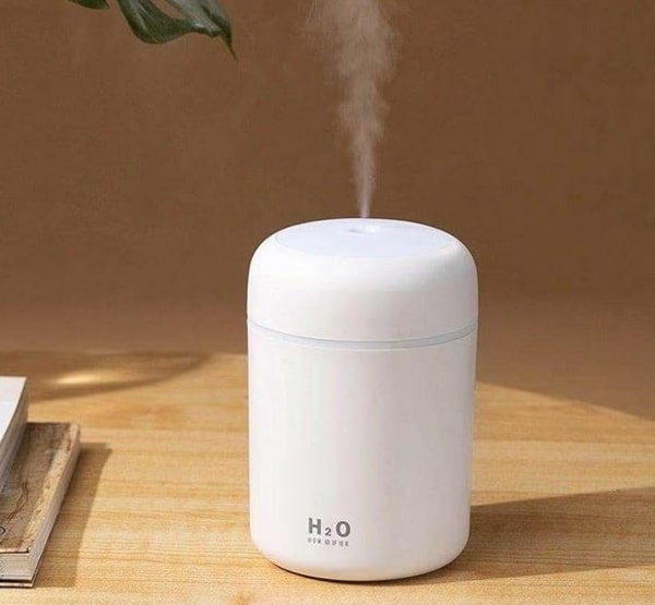 A mini desk humidifier can be taken anywhere