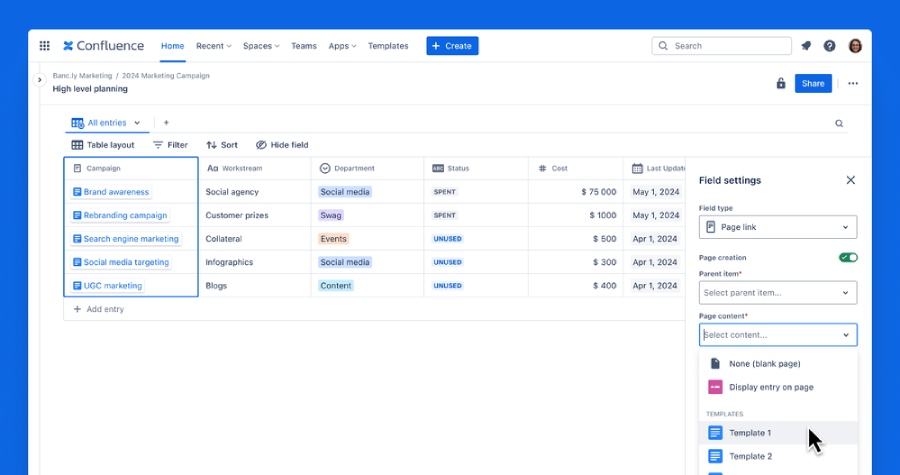 Confluence database featuring a table layout of marketing campaign planning.