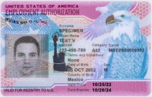 Front view of U.S. employment authorization card.