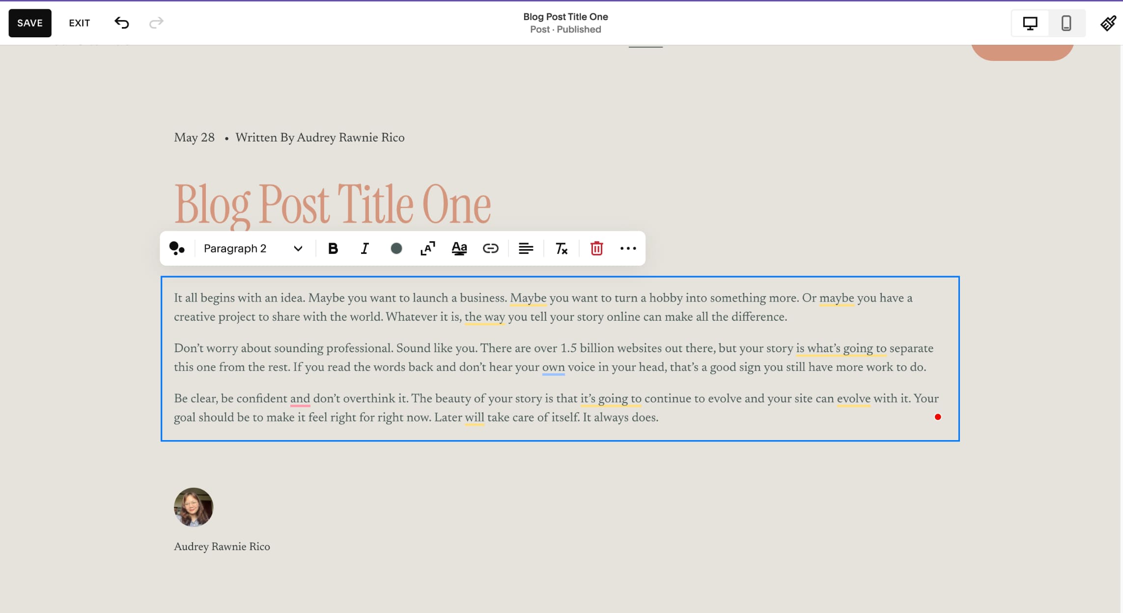 A sample blog post being written in Squarespace's website editor.