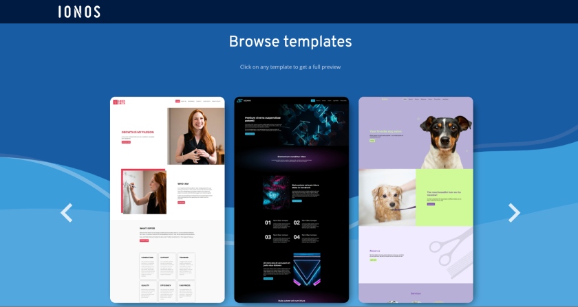 Some of IONOS's various website templates.