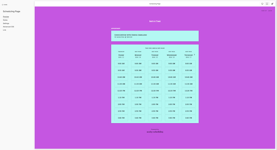 Acuity Scheduling's sample custom scheduling page with a themed design.