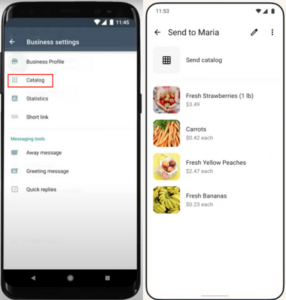 Business settings page and Sample catalog from of WhatsApp Business