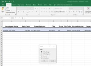 How to Create an Employee Database in Excel (+ Free Template)