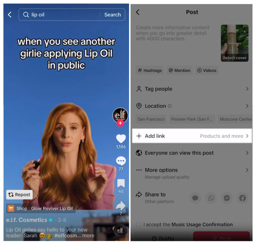 A TikTok post highlighting the part where the user could add a link.